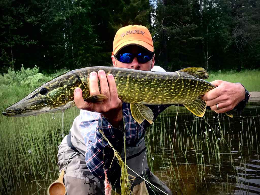 Pêche du brochet Laponie Suède